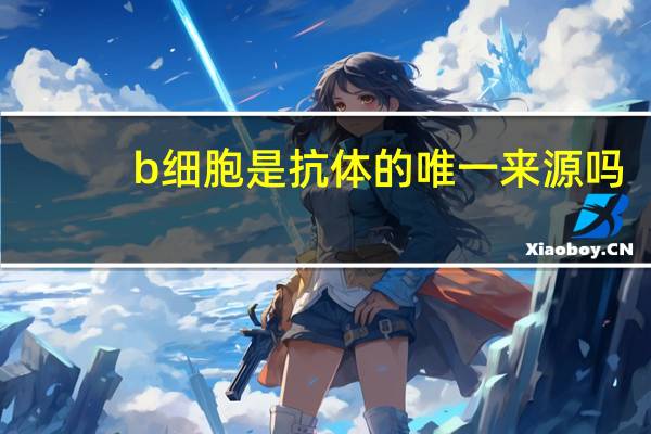 b细胞是抗体的唯一来源吗(b细胞不能产生抗体的原因)