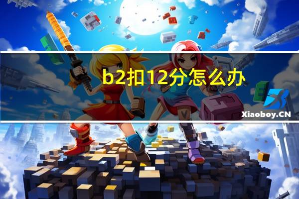 b2扣12分怎么办
