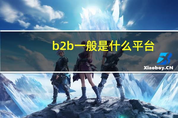 b2b一般是什么平台