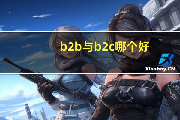 b2b与b2c哪个好