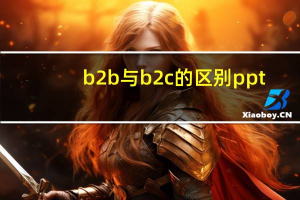 b2b与b2c的区别ppt