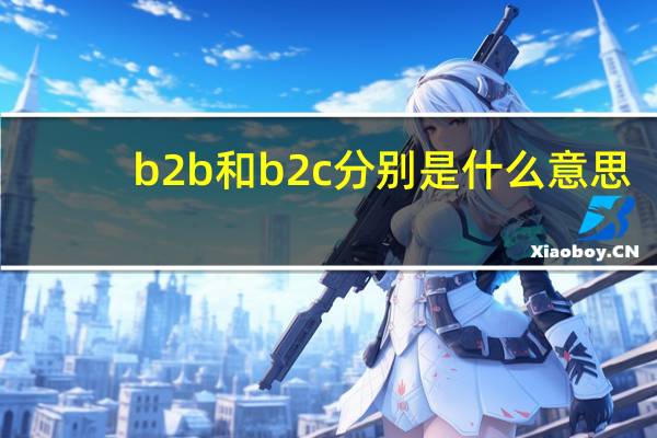 b2b和b2c分别是什么意思