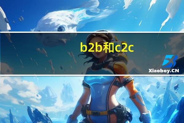 b2b和c2c