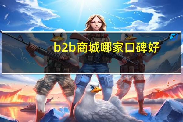 b2b商城哪家口碑好