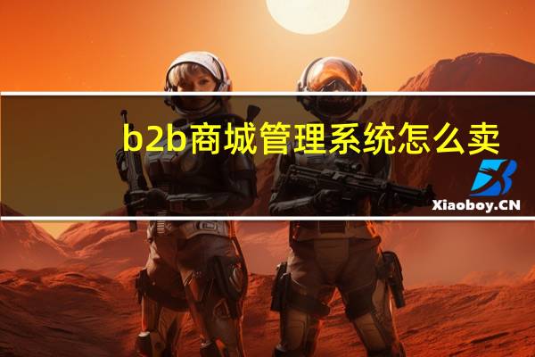 b2b商城管理系统怎么卖