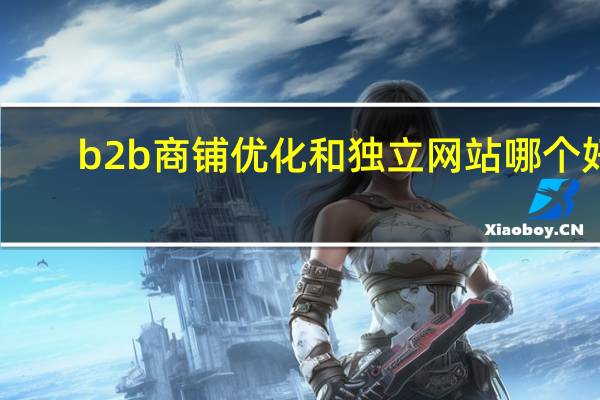 b2b商铺优化和独立网站哪个好