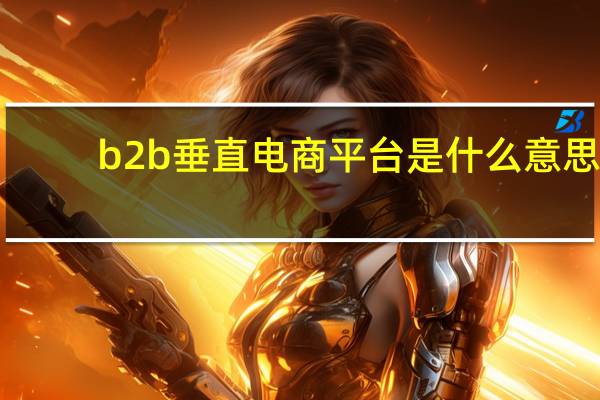b2b垂直电商平台是什么意思