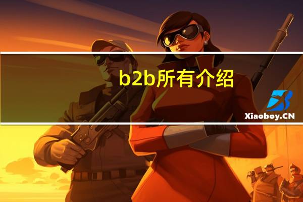 b2b所有介绍