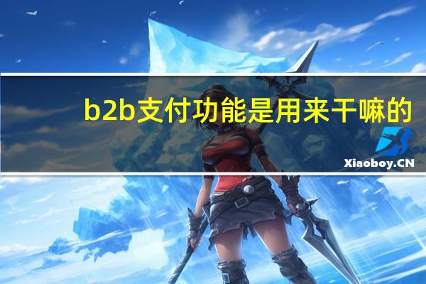 b2b支付功能是用来干嘛的