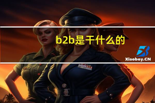 b2b是干什么的