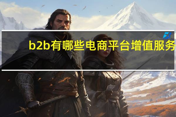 b2b有哪些电商平台增值服务
