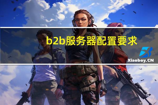 b2b服务器配置要求