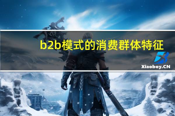 b2b模式的消费群体特征