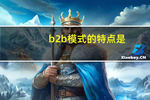 b2b模式的特点是