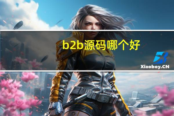 b2b源码哪个好