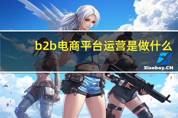 b2b电商平台运营是做什么