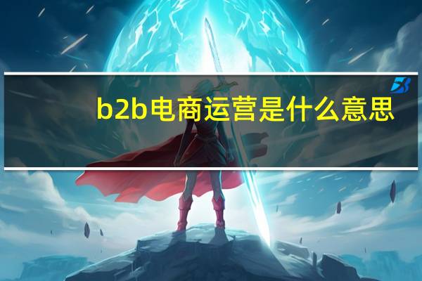 b2b电商运营是什么意思