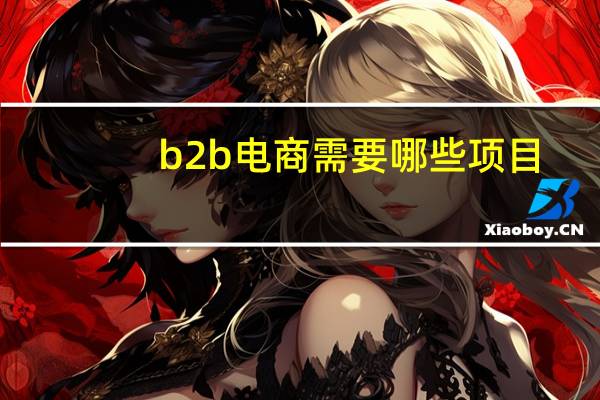 b2b电商需要哪些项目