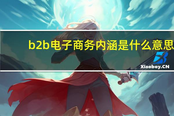 b2b电子商务内涵是什么意思