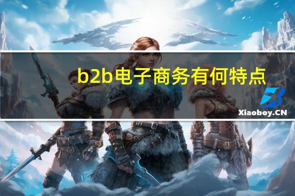 b2b电子商务有何特点