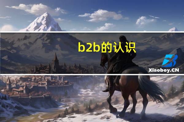 b2b的认识