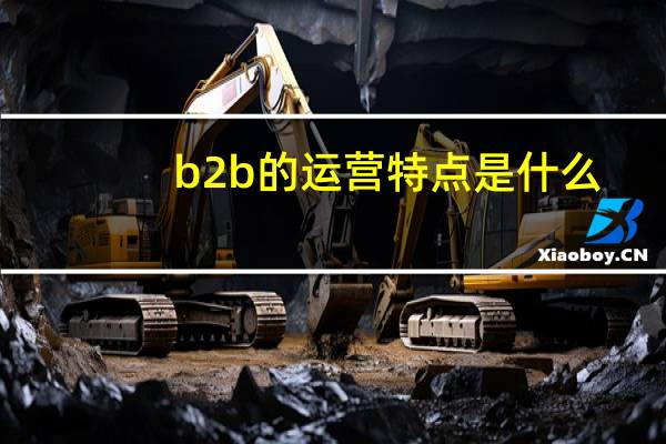 b2b的运营特点是什么