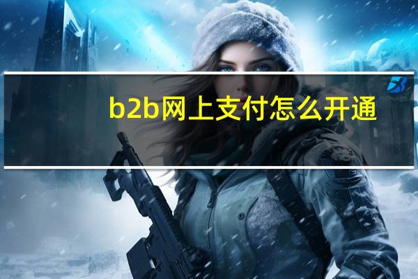 b2b网上支付怎么开通
