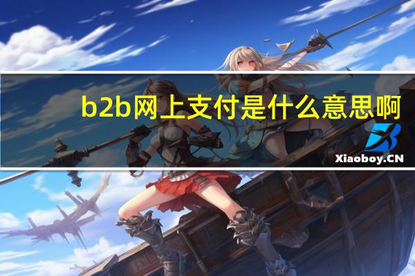 b2b网上支付是什么意思啊