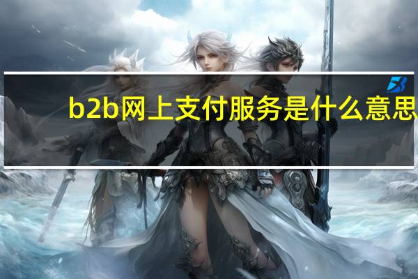 b2b网上支付服务是什么意思