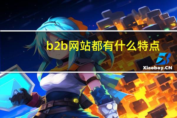b2b网站都有什么特点