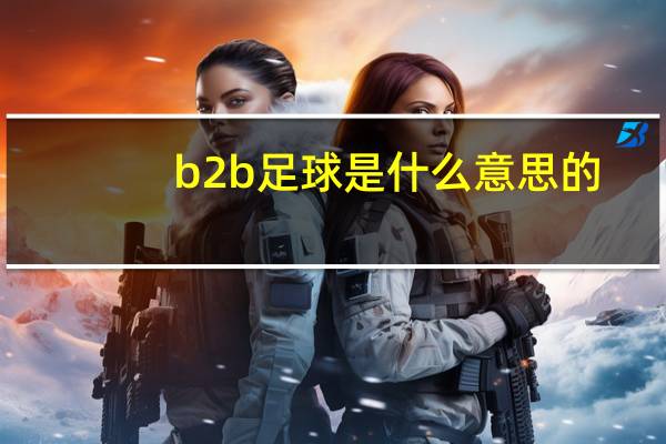 b2b足球是什么意思的