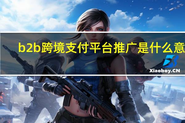 b2b跨境支付平台推广是什么意思