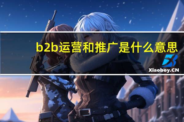 b2b运营和推广是什么意思