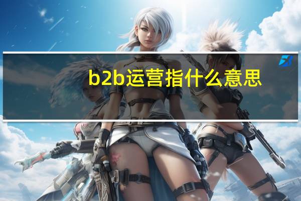 b2b运营指什么意思
