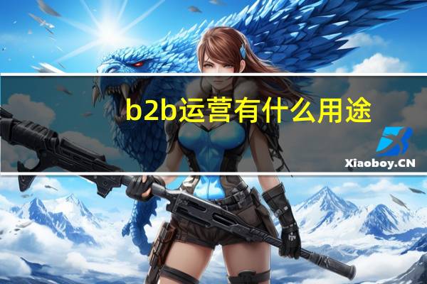 b2b运营有什么用途