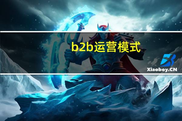 b2b运营模式
