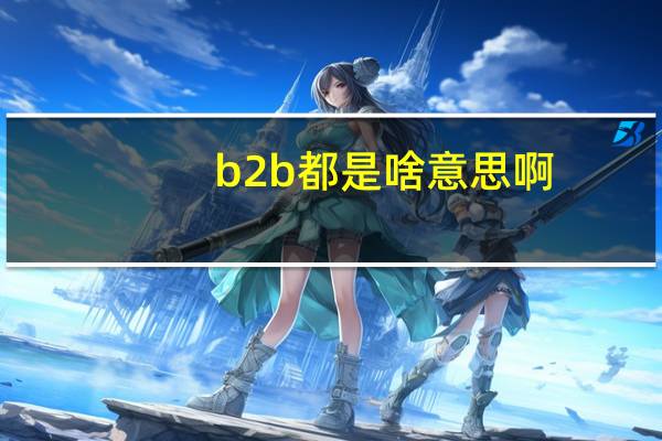 b2b都是啥意思啊