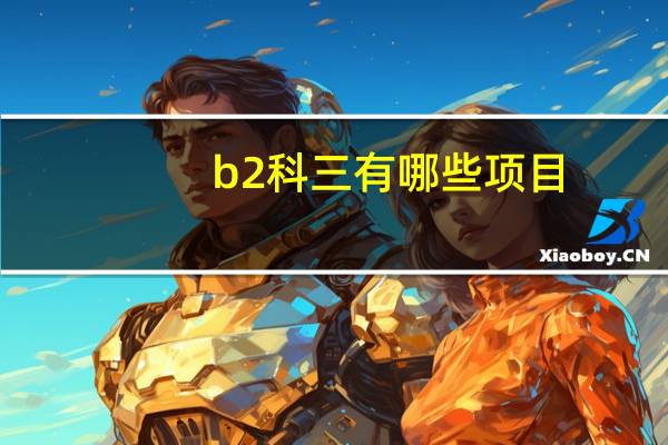 b2科三有哪些项目