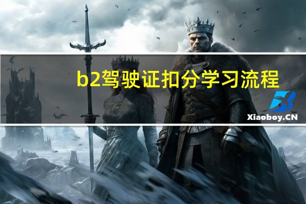 b2驾驶证扣分学习流程