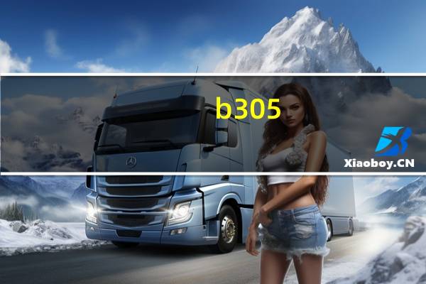 b305（b305）