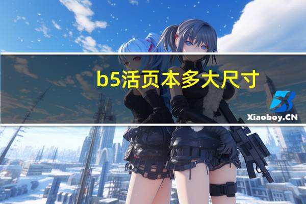 b5活页本多大尺寸（b5多大尺寸）