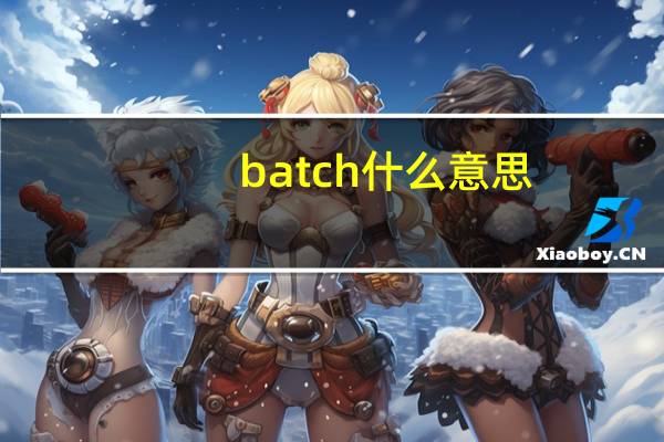 batch什么意思