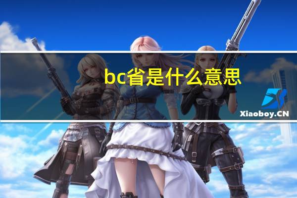 bc省是什么意思(bc省)