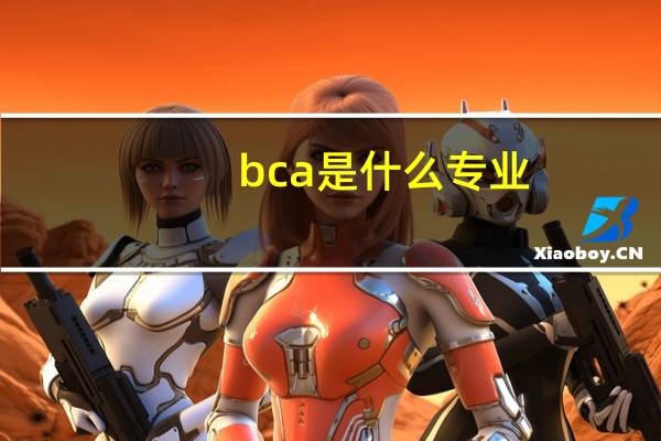 bca是什么专业