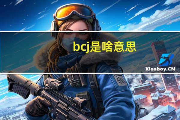 bcj是啥意思