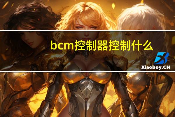 bcm控制器控制什么