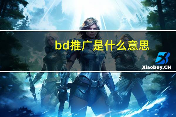 bd推广是什么意思