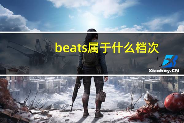 beats属于什么档次
