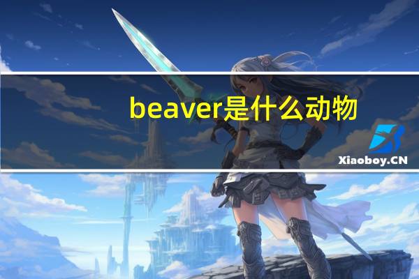 beaver是什么动物