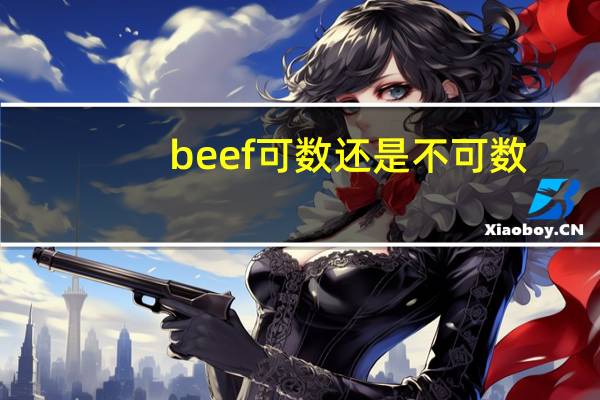 beef可数还是不可数